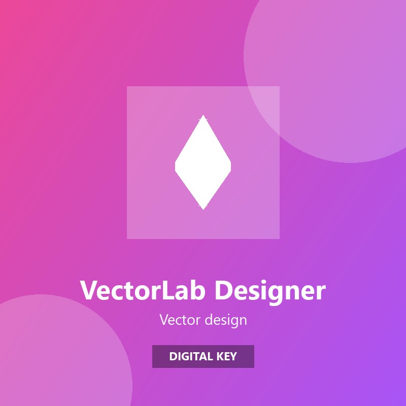 VectorLab Designer